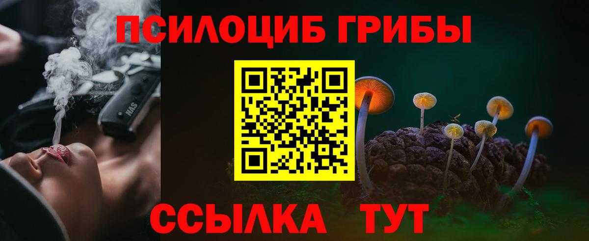Альметьевск  Псилоцибиновые грибы Magic Shrooms  Вход с VPN  Псилоцибиновые грибы мухоморы 